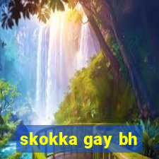 skokka gay bh